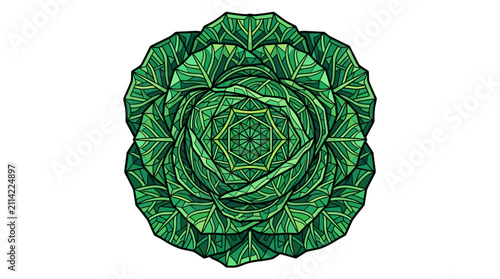 Green Cabbage Mandala Top View, Geometric Pattern, Fresh Vegetable Isolated
