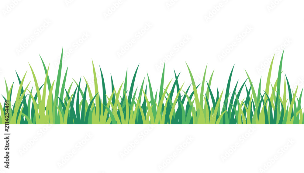 Fototapeta premium Patch of vibrant green grass blades is illustrated horizontally across the center of a plain white background.