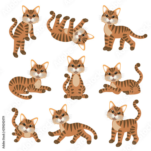 Cute cat illustration material collection,