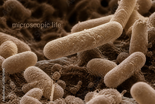 Bacteria and microorganisms are visible under a microscope in a dense, textured environment.