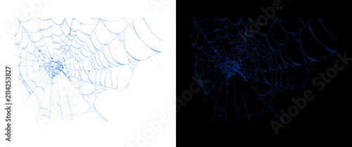 Bild auf Leinwand Intricate blue spider web patterns, delicate cobweb structures on white and blac