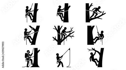 Silhouette of man climbing tree.
