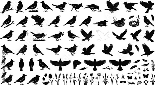 Bird Silhouette Collection Vector Set, Flying and Perched Wild Birds Black Silhouette Clipart Isolated on White Background