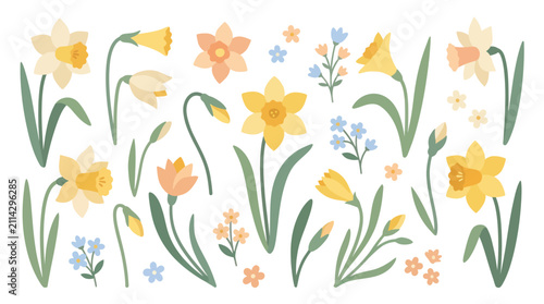 Spring daffodil and narcissus flower arrangement set