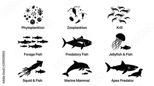 Marine Life Silhouettes Ocean Creatures.