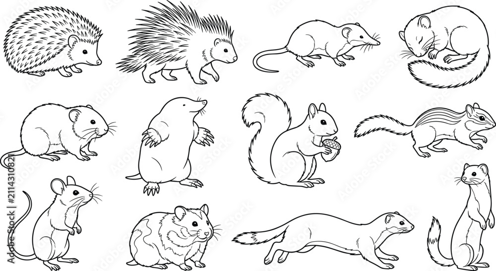 Fototapeta premium Small Mammals Outline Vector Collection Featuring Rodents, Hedgehogs, Squirrels and Weasels
