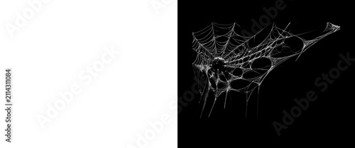 Fotografía Spooky spider web on black background, intricate white cobweb texture, creepy ha