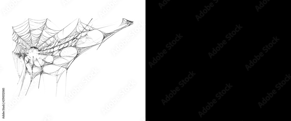 Fototapeta premium Intricate spider web on white background, delicate cobweb texture for Halloween design, realistic spiderweb isolated on white, spooky silk net overlay