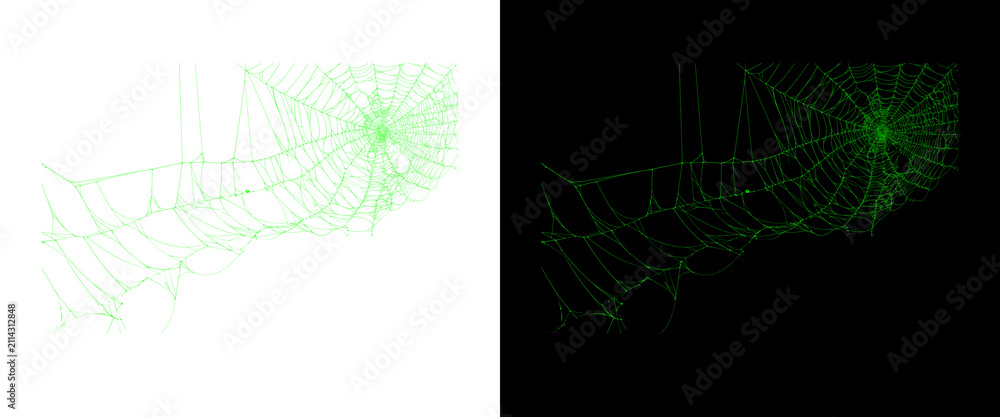 Obraz premium Neon green spider web graphic, glowing spiderweb design elements on black and white backgrounds, spooky halloween cobweb illustration