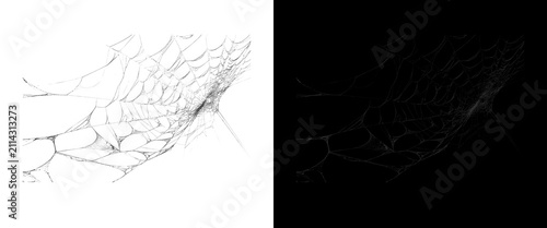 Obraz na płótnie Intricate spider web texture on white and black background, delicate cobweb patt