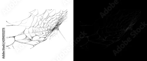 Fototapeta na wymiar Intricate spider web texture on white and black background, delicate cobweb pattern for spooky halloween design, fragile silk threads overlay