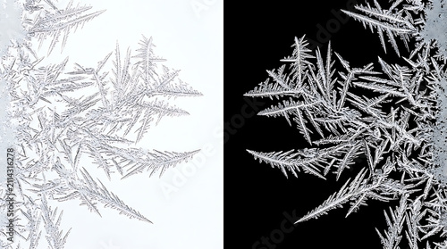 Detailed Ice Crystal Frost Pattern Texture Split Screen on White and Black