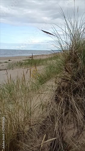 Coastal sand dune with marram grass facing the sea under a cloudy sky. Vertical landscape for coastal erosion and eco travel concepts. Sand dunes. 