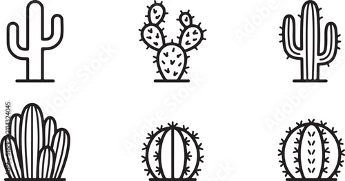 Six types of stylish cactus and succulent plants illustration set Vector