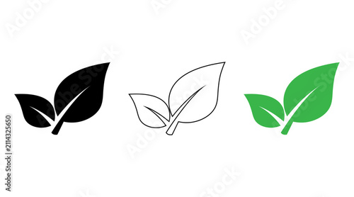 Green Leaf Isolated on White Background.