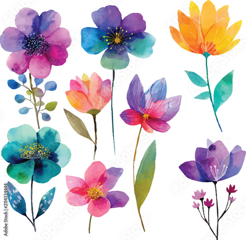 set of watercolor flowers