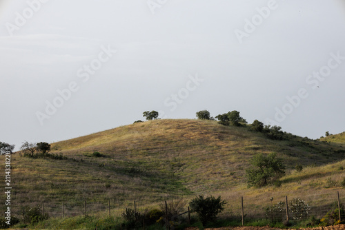 Fotografie Alentejo rolling hills landscape during springtime
