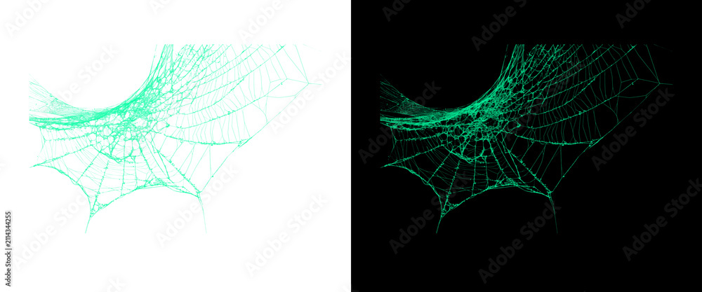Naklejka premium Ethereal green spider web on black and white backgrounds, intricate glowing cobweb structure, spooky organic silk texture for Halloween design