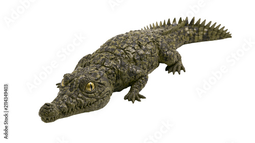 Принти на полотні Green crocodile with textured scales and yellow eyes