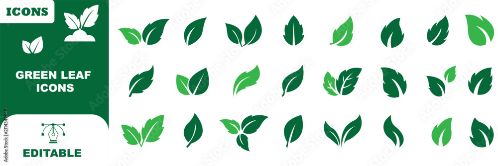 Obraz premium Leaf sprout icon vector set, green leaves plant eco logo symbol simple graphic illustration set, vegan fresh herb pictogram shape sign, organic natural healthy logotype eps 10
