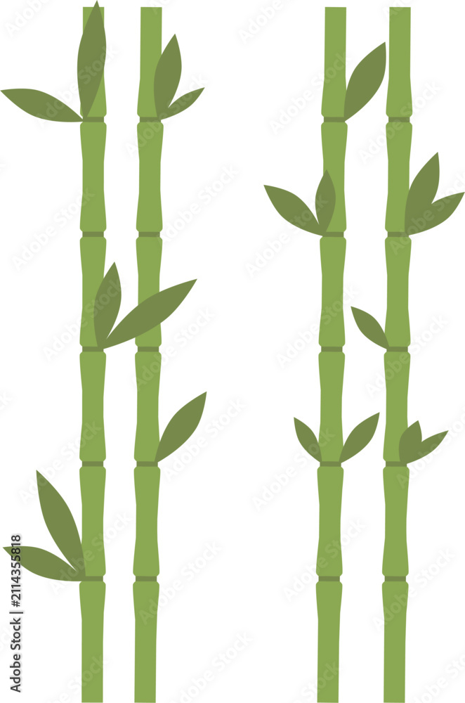 Obraz premium Elegant Bamboo Branch with Green Leaves Isolated on White Background Vector Illustration for Zen Nature Asian Botanical Decoration Design