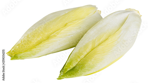 Quadro su tela Two Belgian endive heads with pale yellow and green leaves