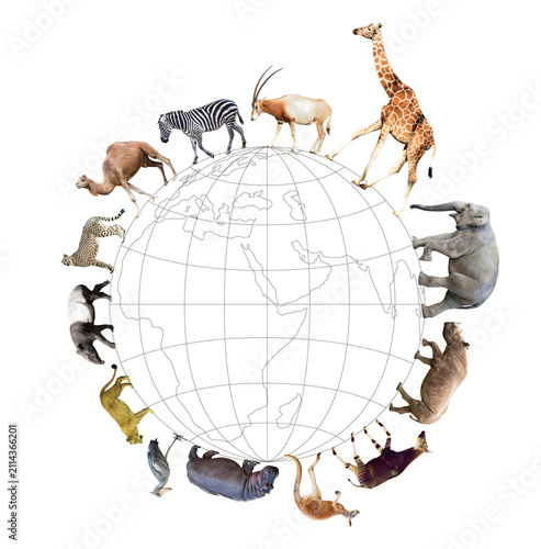 Quadro su tela Various animals living together on Earth.