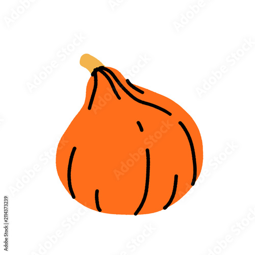 Fotografía Hand drawn autumn squash and pumpkin set: butternut squash, crookneck gourd, pumpkin slice, warty gourds, and ornamental squash in orange, green, and yellow fall colors