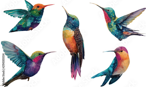 set of colorful birds