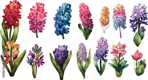 set of flowers isolated
