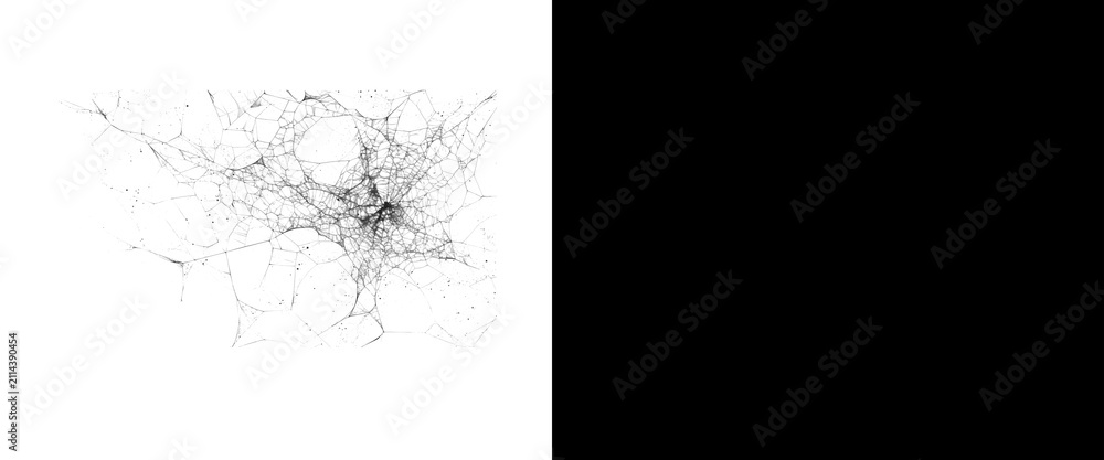 Fototapeta premium Microscopic neuron cell network on white background, biological brain nerve structure, medical science illustration of neural pathways
