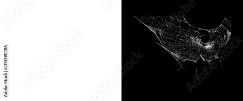 фотографія Eerie spider web on black background, delicate white cobweb texture, spooky silk