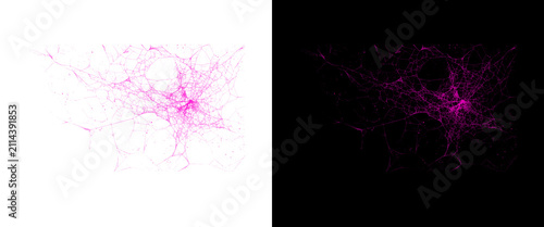 Fotografía Microscopic pink neurons and neural network, abstract brain cell connection on w