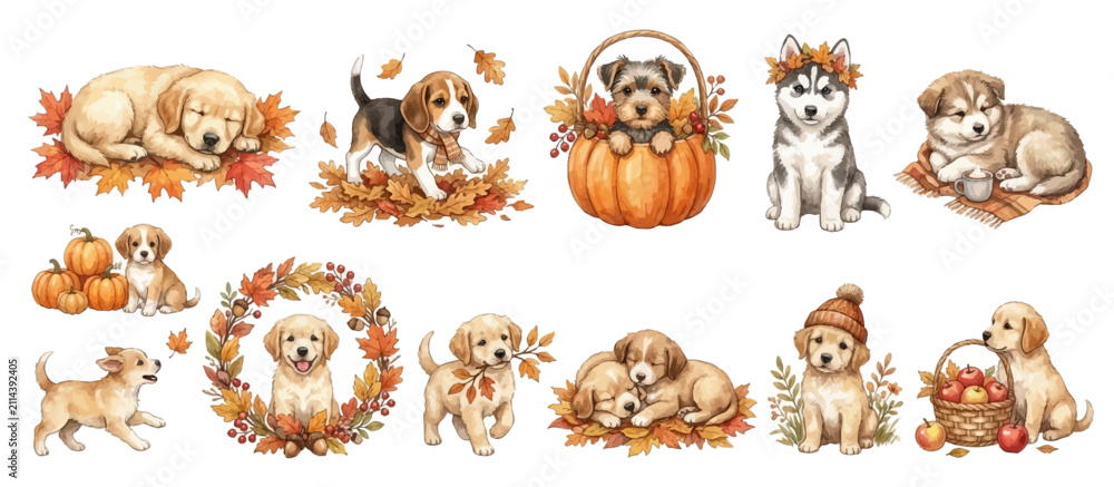 Obraz premium Cute autumn puppy clipart set with seasonal mood 3. Collection of Vector illustrations for invitation, card, poster, banner, decoration