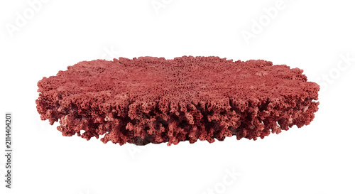 Canvastavla Flat red coral platform rock formation isolated on a black background