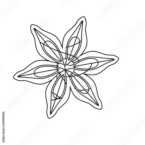 Star Anise Outline