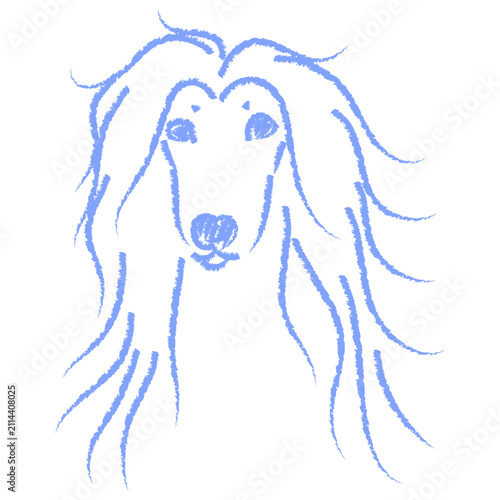 Valokuva Vector portrait of Afghan hound dog drawn with blue chalk
