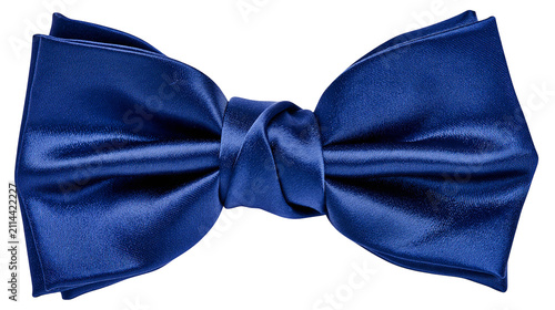 Bild auf Leinwand Satin royal blue bow tie accessory