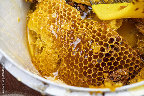 Freshly cut honeycomb pieces and raw organic honey in a bucket with uncapping fork tool. Golden honey harvest process close-up.