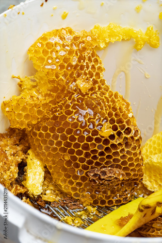 Freshly cut honeycomb pieces and raw organic honey in a bucket with uncapping fork tool. Golden honey harvest process close-up.