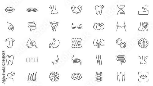Medical Anatomy and Healthcare Minimalist Line Art Icon Set