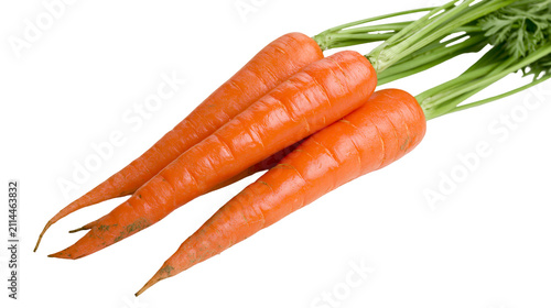 Obraz na płótnie Three fresh orange carrots with green leafy tops