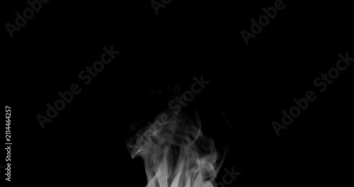 Real white smoke and steam rising on isolated black background. Smooth vapor curls flowing upward in slow motion. Abstract food texture or mist overlay effect for creative video design.