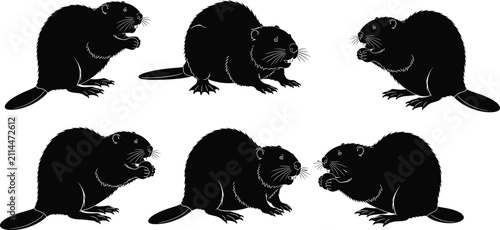 Foto Black silhouette beaver set with semiaquatic rodent icons in various poses for w