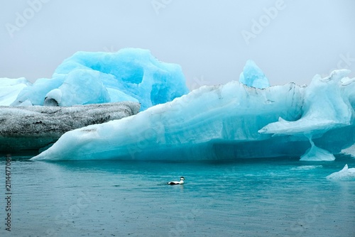 Foto Melting icebergs in Arctic ocean