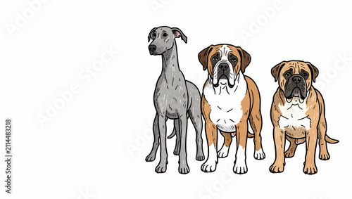 Three Dog Breeds Illustrated on White.
