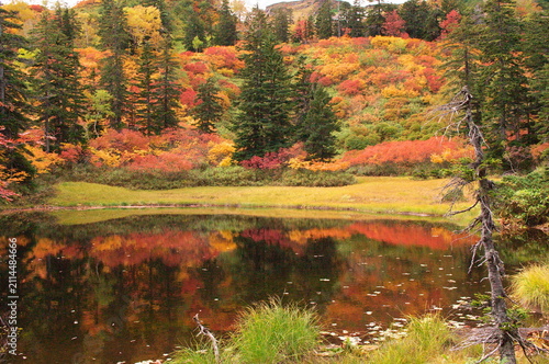 Foto Mirror-Like Reflection of Autumn Colors on Mountain Tarn