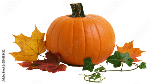 Orange pumpkin with autumn leaves and ivy vine