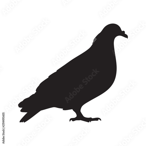 Black pigeon silhouette standing