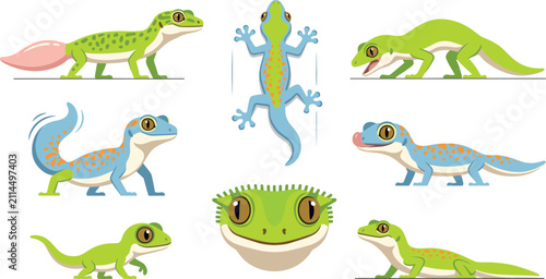 Gecko and lizard cartoon character vector illustration set isolated